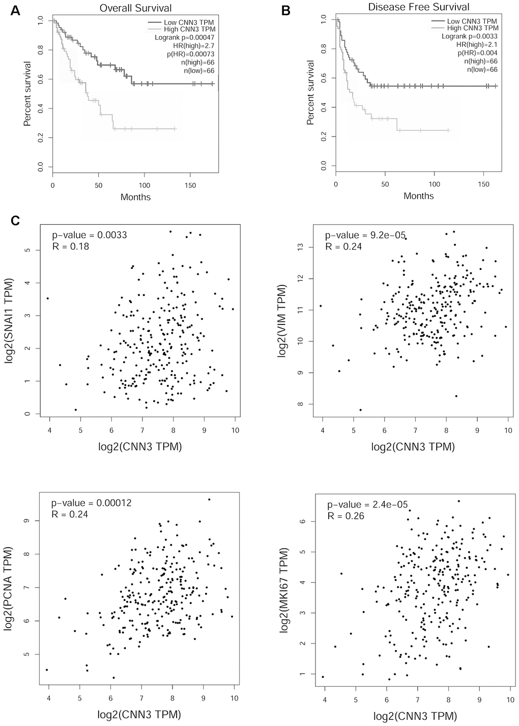 Functional analysis of CNN3 in TCGA sarcoma cohort analyzed using GEPIA. (A, B) Correlation between CNN3 mRNA levels and prognosis. (C) Correlation between CNN3 mRNA levels and two mesenchymal markers, Snail and vimentin (VIM), and two tumor proliferation markers, MKI67 and PCNA. TPM: transcripts per million; HR: hazard ratio. The hazard ratio was calculated based on the Cox PH model.