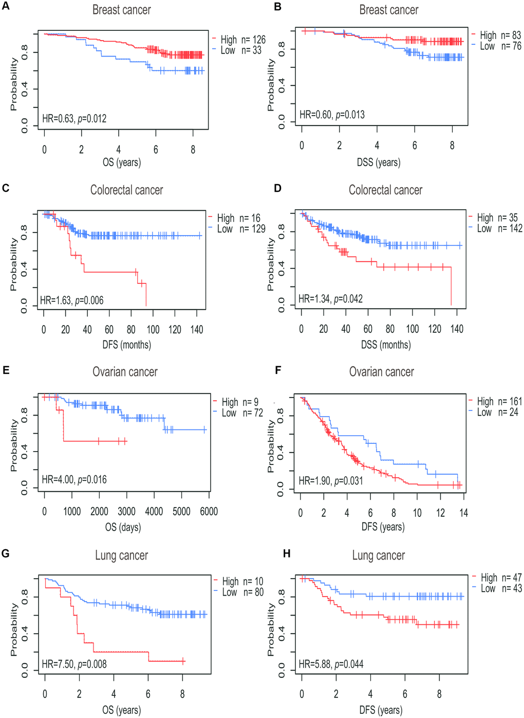 Survival curves of high or low expression of PTGIS in different tumors from the PrognoScan database. (A, B) High PTGIS expression was correlated with better OS and DSS than low PTGIS expression in the breast cancer cohort [GSE1456-GPL96 (n = 159)]. (C, D) High PTGIS expression was correlated with poorer DFS (n = 145) and DSS (n = 177) than low PTGIS expression in the colorectal cancer cohort (GSE17536). (E, F) High PTGIS expression was correlated with poorer OS and DFS than low PTGIS expression in two ovarian cancer cohorts [GSE8841 (n = 81) and GSE26712 (n = 185)]. (G, H) High PTGIS expression was correlated with poorer OS and DSS than low PTGIS expression in a lung cancer cohort (GSE14814, n = 90). OS, overall survival; DFS, disease-free survival; DSS, disease-specific survival.