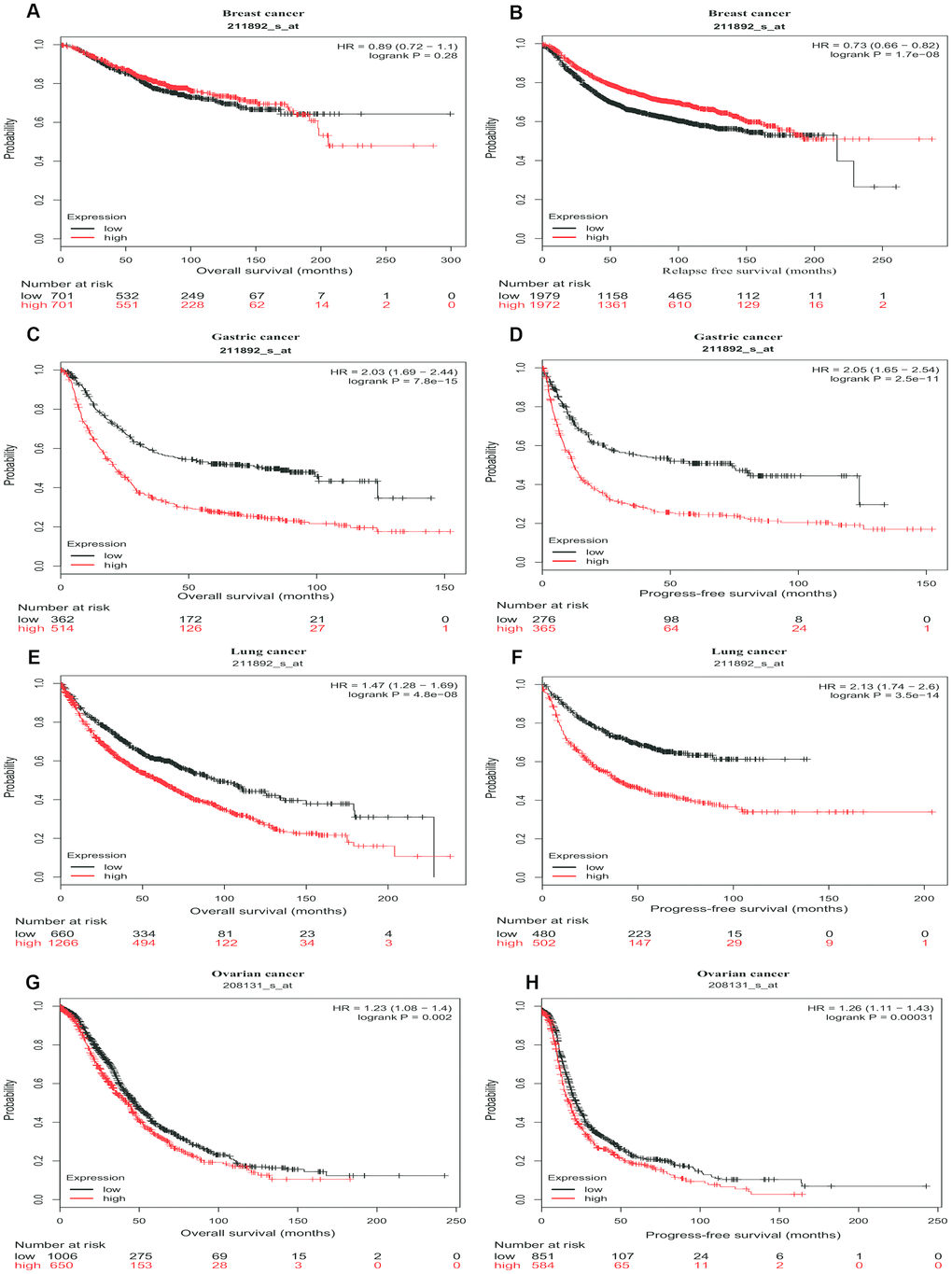Survival curves of high or low expression of PTGIS in different tumors from Kaplan-Meier plotter. (A, B) OS and DFS survival curves of breast cancer (n = 1,402 and n = 3,951, respectively). (C, D) OS and PFS survival curves of gastric cancer (n = 876 and n = 641, respectively). (E, F) OS and PFS survival curves of lung cancer (n = 1,926 and n = 982, respectively). (G, H) OS and PFS survival curves of ovarian cancer (n = 1,656 and n = 1,435, respectively). OS, overall survival; PFS, progression-free survival; DFS, disease-free survival.