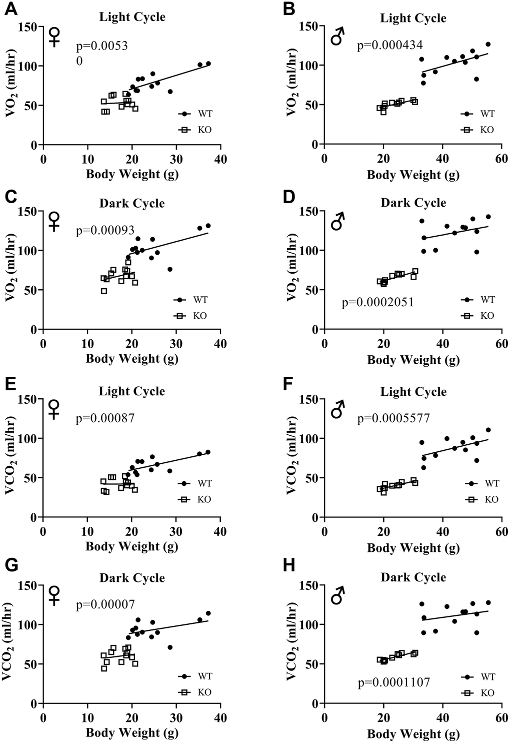 ANCOVA shows that GH-deficiency decreases VO2 and VCO2. Overall averaged VO2 (A–D) and VCO2 (E–H) values are plotted on the y-axis and body weights are plotted on the x-axis. Relationship between body weight and VO2 in female (A, C) and male (B, D) WT and GHRH-/- mice during light cycle (A, B) and dark cycle. (C, D) Relationship between body weight and VCO2 in female (E, G) and male (F, H) WT and GHRH-/- mice in light cycles (E, F) and dark cycles. (G, H) Female WT n=12, GHRH-/- n=12, male WT n=12, GHRH-/- n=11. The WT and GHRH-/- groups were statistically analyzed with ANCOVA method, which was used to calculate p values, shown on each panel.
