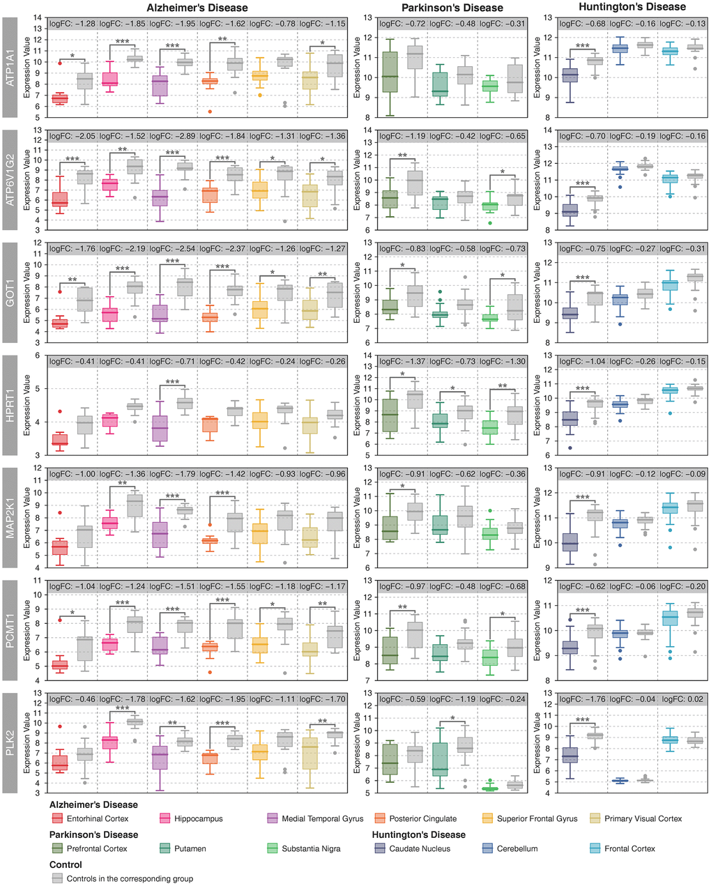 Expression patterns of key metabolic genes. Patient samples with different brain regions are represented by different colors, and the gray color represents the controls in the corresponding group. Student’s t-test was used to compare the expression differences between cases and controls. Statistical significance: * P 