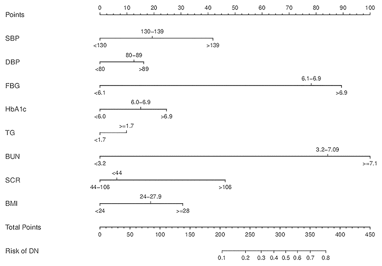 Developed DN incidence risk nomogram. The DN incidence risk nomogram was developed in the array, with SBP, DBP, FBG, HbA1c, TG, SCR, BUN and BMI incorporated.