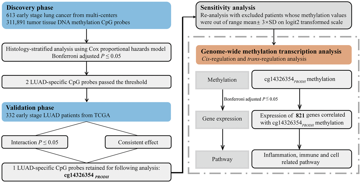 Epigenome-wide gene–age interaction analysis reveals reversed effects ...