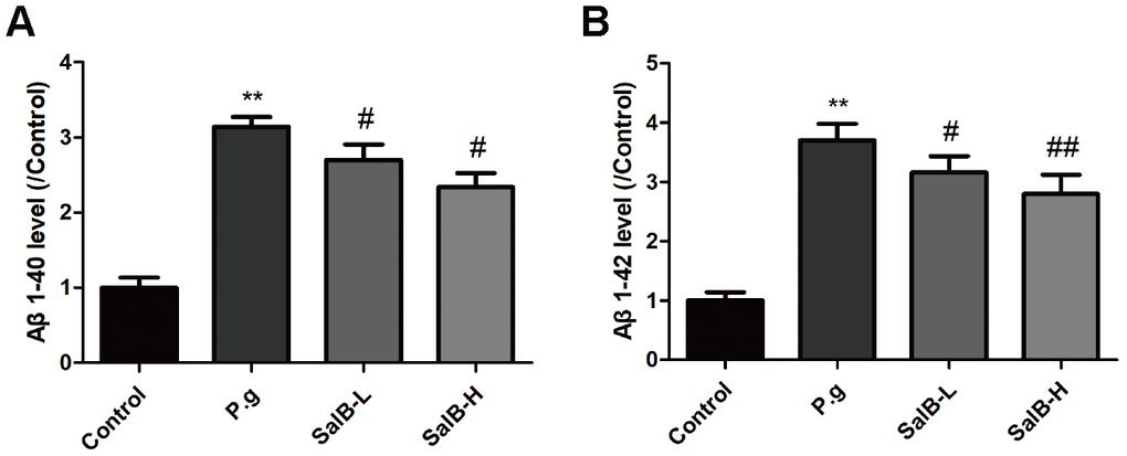 SalB decreases Aβ levels in P. gingivalis-infected mice. The levels of Aβ1-40 (A) and Aβ1-42 (B) were detected in the hippocampus of P. gingivalis-infected mice. Experimental values were expressed as mean ± SEM (n = 6 per group). *P P #P ##P P.g.