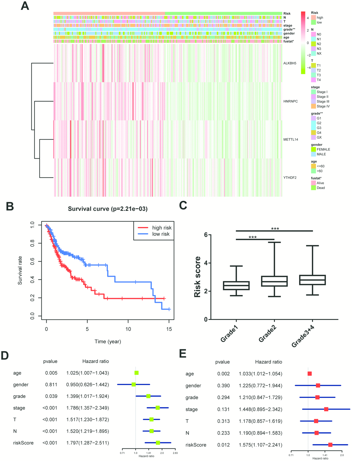 M6A-related bioinformatics analysis reveals that HNRNPC facilitates ...