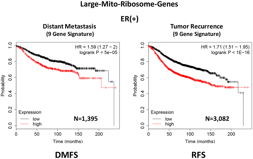 A large mito-ribosome 9-gene signature predicts distant metastasis and tumor recurrence in ER(+) breast cancer patients. A 9-gene mito-ribosome signature effectively predicts distant metastasis in N=1,395 patients (HR=1.59; P=5e-05) and tumor recurrence in N=3,082 patients (HR=1.71; PSupplementary Tables 4 and 5 and 5 DMFS, distant metastasis free survival; RFS, relapse free survival.