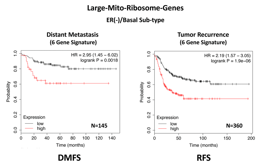 A large mito-ribosome gene signature predicts distant metastasis and tumor recurrence in ER(-)/basal breast cancer patients. In ER(-)/basal breast cancer, a 6-gene mito-ribosome signature was also able to effectively predict distant metastasis in N=145 patients (HR=2.95; P=0.0018) and tumor recurrence in N=360 patients (HR=2.19; P=1.9e-06). See also Supplementary Table 8.
