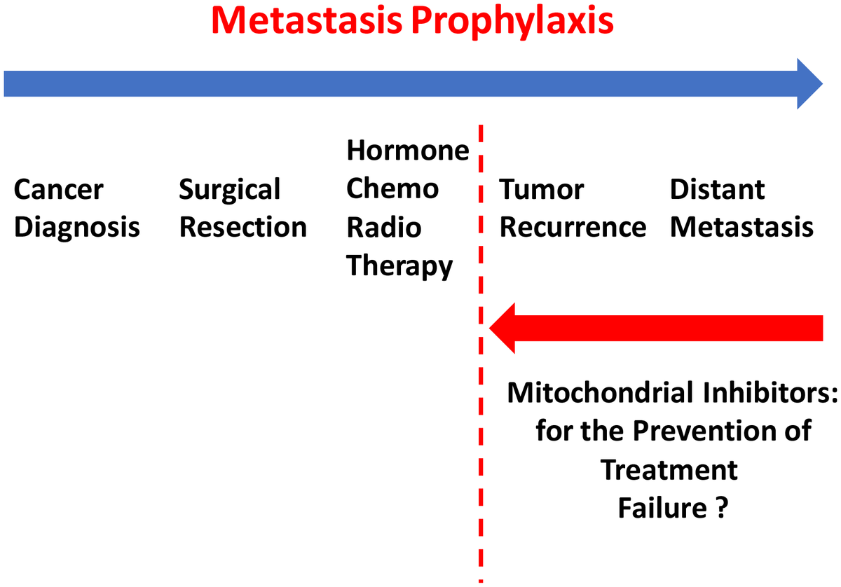 first-in-class-candidate-therapeutics-that-target-mitochondria-and