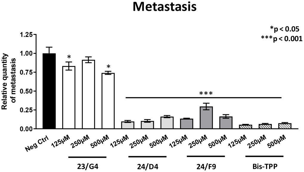 Mitochondrial inhibitor compounds selectively target and prevent cancer metastasis. MDA-MB-231 cells and the well-established chorio-allantoic membrane (CAM) assay in chicken eggs were used to quantitatively measure spontaneous tumor mestastasis. An inoculum of 1 X 106 MDA-MB-231 cells was added onto the CAM of each egg (on day E9) and then eggs were then randomized into groups. On day E10, tumors were detectable and they were then treated daily for 8 days with vehicle alone (1% DMSO in PBS) or the four mitochondrial inhibitors. After 8 days of drug administration, the lower CAM was collected to evaluate the number of metastatic cells, as analyzed by qPCR with specific primers for Human Alu sequences. Note that all four mitochondrial inhibitors did show significant effects on MDA-MB-231 metastasis. More specifically, all three Mitoriboscins were clearly effective in inhibiting metastasis, although 24/D4 and 24/F9 were the most effective. In addition, Bis-TPP also significantly prevented metastasis. Averages are shown + SEM. *p