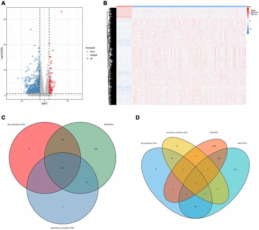 Prognostic DElncRNAs identification process. (A) Volcano plot of differentially expressed lncRNAs in TCGA-LICH dataset; (B) Hierarchical clustering of HCC with or without tumor using 669 differentially expressed lncRNAs using Euclidean distance and average linkage clustering; (C) Venn diagram of prognostic DElncRNAs in prognostic lncRNAs (OS/recurrence multivariate cox p 2 and padj D) Venn diagram of lncRNAs related to OS/recurrence. TCGA, The Cancer Genome Atlas; LICH, Liver hepatocellular carcinoma; HCC, hepatocellular carcinoma; DElncRNA, differentially expressed long non-coding RNA; OS, overall survival; LASSO, least absolute shrinkage and selection operator method.