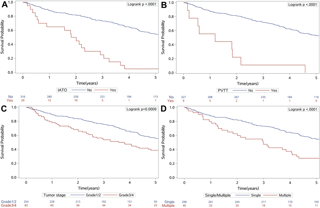 Kaplan-Meier survival curves for IATO (A), PVTT (B), tumor stage (C) and single/multiple tumors (D), which were independently associated with mortality. Abbreviations: IATO: invasion of adjacent tissues or organs; PVTT: portal vein tumor thrombus.
