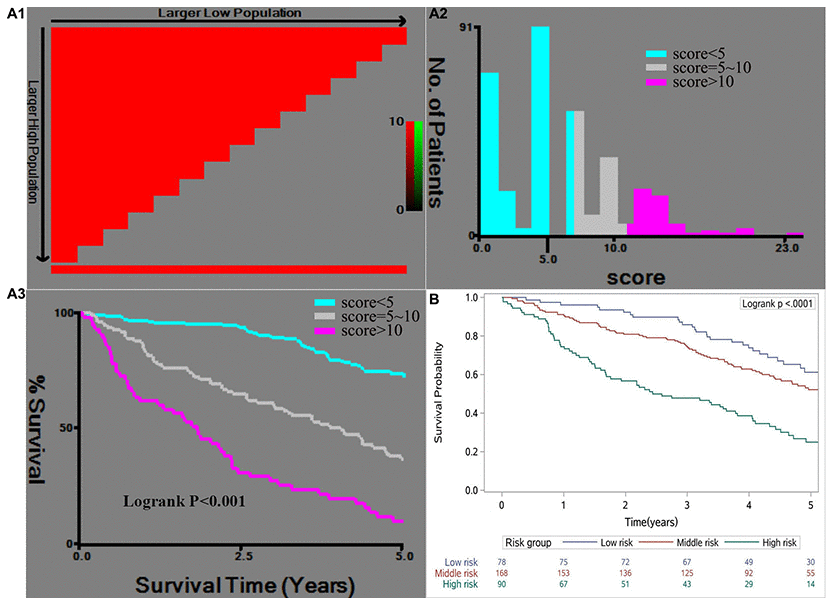 X-tile analysis of the risk score in the training cohort (A1, A2, A3) and the Kaplan-Meier survival curves for the risk groups in the validation cohort (B). The cut-off points for the risk groups were determined based on A2 as 10 (high risk).