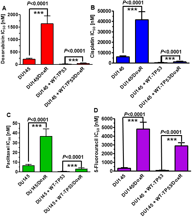 Effects of introduction of WT-TP53 on the chemosensitivity of doxorubicin-sensitive and doxorubicin-resistant DU145 cells. The IC50s of doxorubicin-sensitive and doxorubicin-resistant DU145 and DU145 + WT-TP53 cells to: Panel (A) Doxorubicin, Panel (B) Cisplatin, (C) Paclitaxel and (D) 5-Fluorouracil were determined by MTT analysis as described in Figure 4. These experiments were repeated three times and similar results were obtained. Statistical analysis is presented on the panels. *** = P 