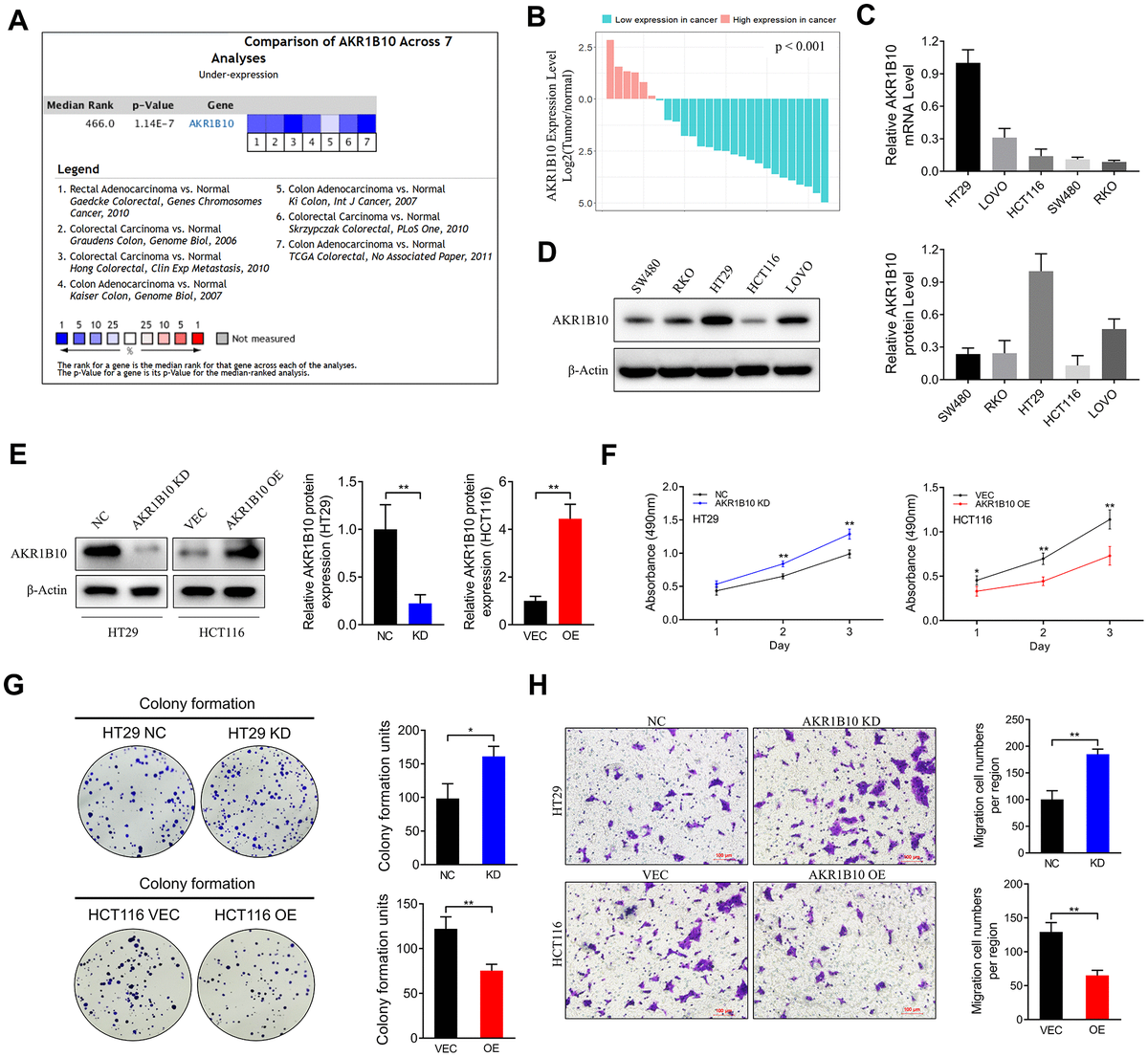 Loss of AKR1B10 promotes colorectal cancer cells proliferation and ...