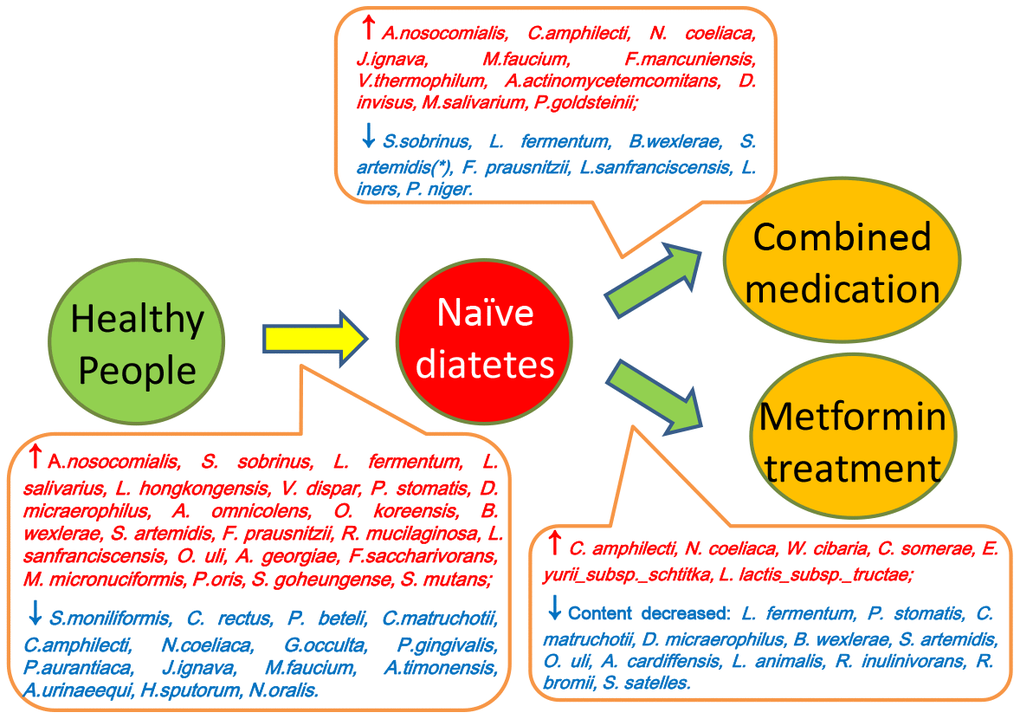 Summary of the differences between saliva microbiota of healthy people (Group A), naïve diabetic patients (Group B), diabetes treated with metformin (Group C) and combined medication (Group D).