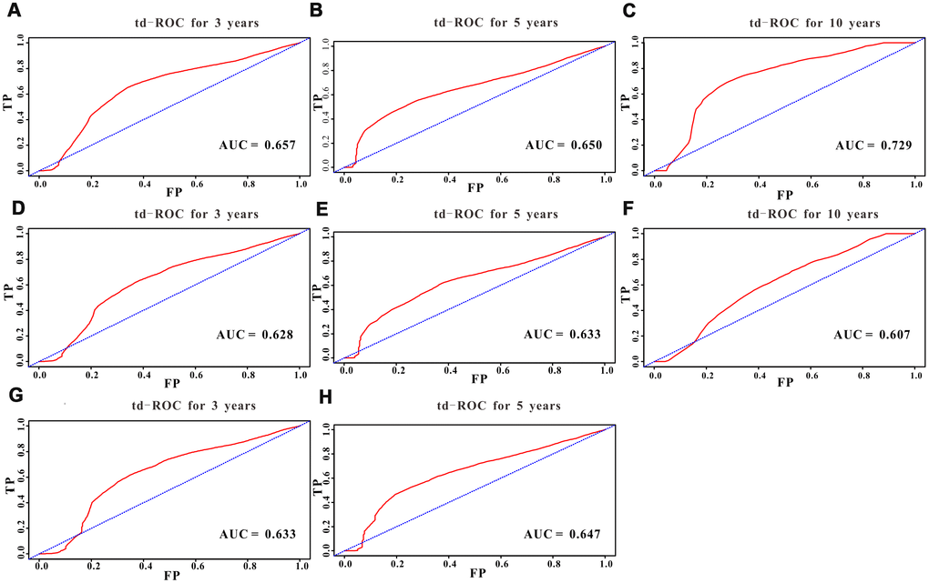 Predictive performance of the survival nomogram reflected by td-ROC curves. td-ROC curves for the 3-year, 5-year and 10-year all-cause mortality nomogram of EODGC patients in (A–C) the training cohort, (D–F) the SEER validation cohort, and (G–H) the RMHWHU cohort.