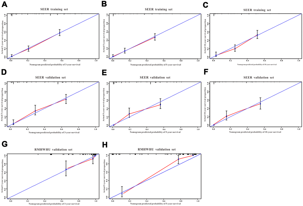 The calibration curves for predicting all-cause mortality in the training and validation cohorts. Calibration plots of 3-year, 5-year and 10-year mortality in (A–C) the training cohort, (D–F) the SEER validation cohort, and (G–H) the RMHWHU validation cohort.