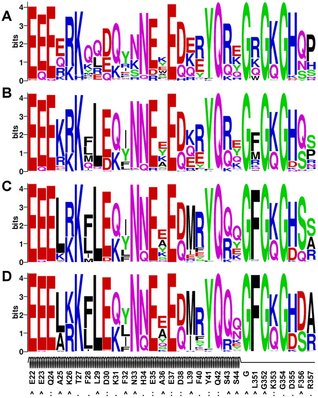 Sequence logo analysis of the evolution-based design results. Four sets of profile energy weight were used: 0.25 (A), 0.50 (B), 0.75 (C) and 1.00 (D).