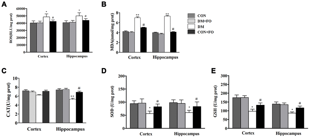 Oxidative stress measurements in different groups. (A) ROS levels in the cortex and hippocampus. (B) MDA level in the cortex and hippocampus. (C) CAT activities in the cortex and hippocampus. (D) SOD activities in the cortex and hippocampus. (E) GSH levels in the cortex and hippocampus. Data are shown as the mean ± SEM (n=7) *P0.05, * *P0.01 and * * *P0.001 vs. the CON group; # P0.05, ##P0.01 and ###P0.001 vs. the DM group.