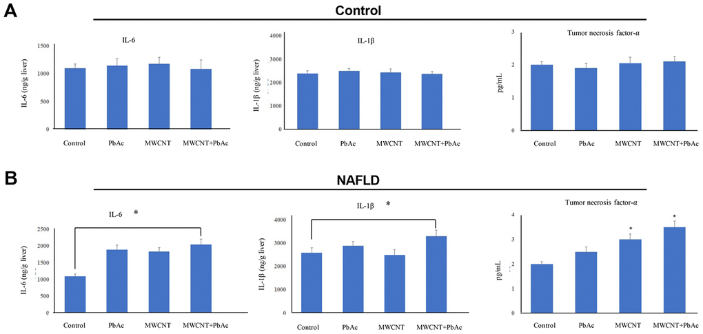 Combined administration of MWCNTs and PbAc significantly enhanced inflammatory cytokine expressions in NAFLD mice livers. (A, B) The effects of the low dose of PbAc, MWCNTs or MWCNTs + PbAc on the expressions of IL-6, IL-1β and TNF-α in the control and NAFLD mice livers (*P