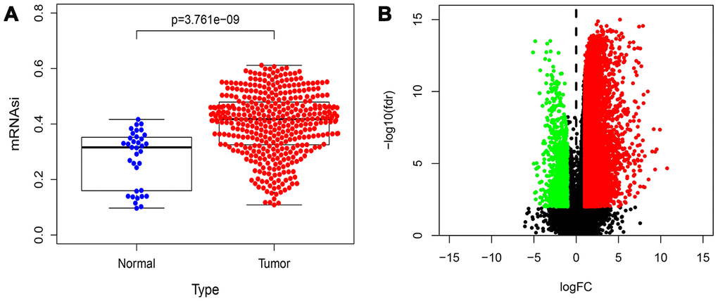Distribution map of mRNAsi and DEGs in HCC. (A) Distribution map shows the mRNAsi of genes in HCC and control samples from the study published by Malta et al. The X axis is sample type (Normal or Tumor) and the Y axis is mRNAsi. (B) The volcano plot shows the expression profiles of 7498 DEGs in HCC samples compared to normal liver samples from the TGCA database. The low expressing genes (n=394) are shown in green and the high expressing genes (n=7104) are shown in red. The threshold criteria are FDR/fdr=0.01 and log2FC=1.