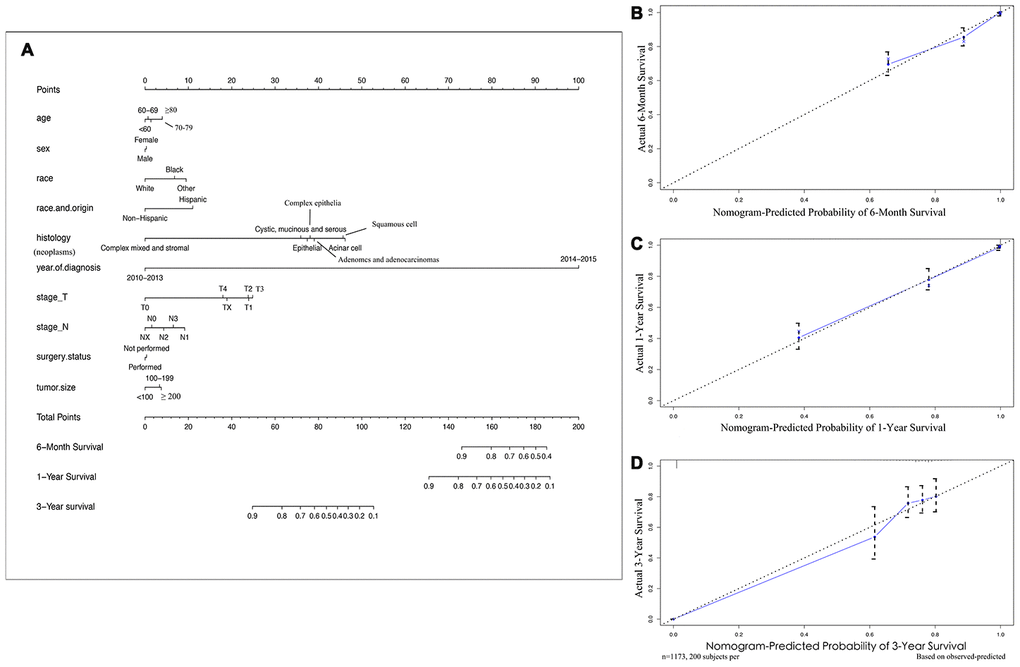 Nomograms and calibration curves for 6-month, 1-year, 3-year survival rates of NSCLC patients with brain metastases. (A) Survival nomogram (B) calibration curve for 6-month survival rate, (C) 1-year, (D) and 3-year survival rates. To use the nomogram, individual patient data are located on each variable axis, and a line is drawn upward to determine the score received for each potential variable value. The sum of these scores is located on the Total Points axis, and a line is drawn downward to the survival rate axes to discern the likelihood of 6-month, 1- or 3-year survival. The calibration curves were plotted for the primary cohort, in which the nomogram-predicted probability of overall survival is plotted on the X-axis, and real overall survival is plotted on the y-axis. More overlap between the blue lines and dotted lines show the good predictive ability of the nomogram.