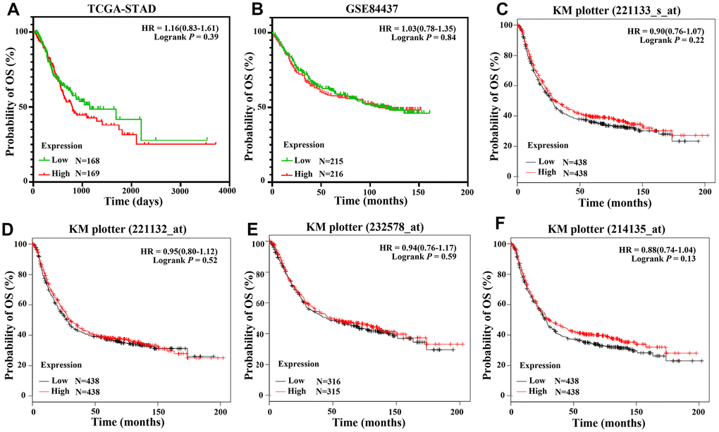 Overall survival of GC patients grouped by CLDN18 median cutoff into high and low groups. (A) TCGA-STAD; (B) GSE84437; (C–F) KM-plotter, data from six datasets: GSE14210, GSE15459, GSE22377, GSE29272, GSE52205, GSE62254.