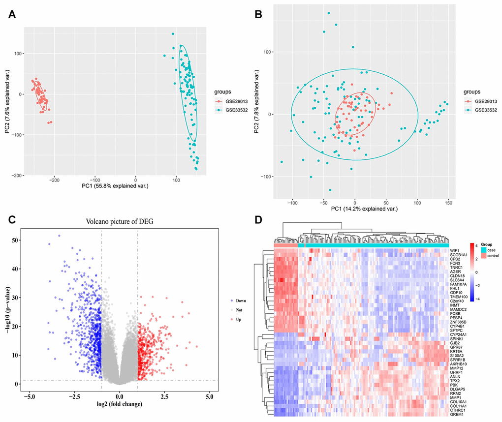 Expression disorders of early NSCLC. (A) PCA analysis before batch effect removal. (B) PCA analysis following batch effect removal. (C) Differentially expressed gene (DEG) volcano map. Red nodes represent upregulated genes, blue nodes represent downregulated genes, and gray nodes represent no differentially expressed genes. (D) Hierarchical clustering dendrograms of the expression patterns of differently expressed genes that distinguish between NSCLC and normal lung tissue.