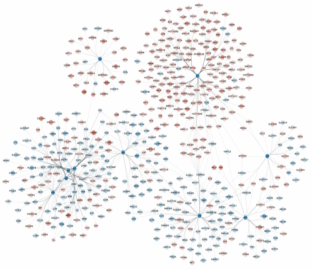 Module network showing the modules and their gene members with color mapping logFC of their differential expressions.