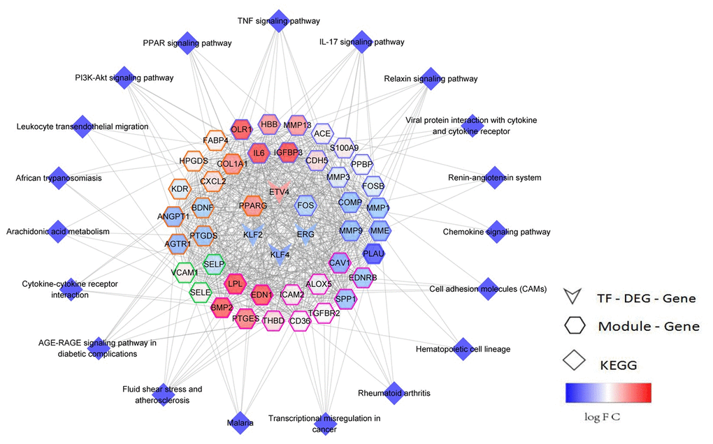 TF-module-pathway comprehensive regulated network landscape of early NSCLC. The network center is the transcription factor, while the color map of the gene node is logFC, and the color of the gene node side represents different modules.