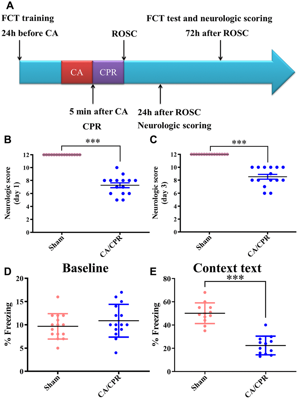 Neurological function was severely impaired in mice after CA/CPR. (A). Scheme of the experimental design. (B, C). Day 1 (B) and day 3 (C) average neurologic scores after ROSC. (D). Baseline freezing levels in the two groups. (E). Freezing levels of context text on day 3 after resuscitation. n=15 per group. ***P 