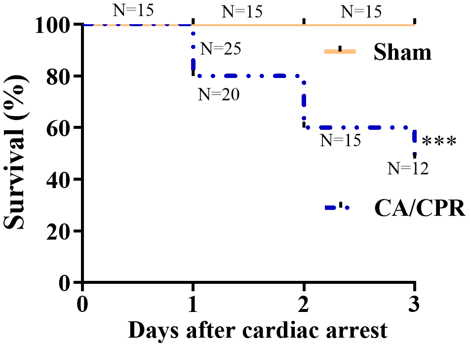 Survival rates within 3 days in the CA/CPR and sham groups. The observation period was 72 h after ROSC. (n = 15 for sham group, n = 25 for CA/CPR group). ***P 