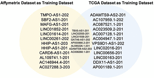 Overlapped lncRNAs from two top 20 lncRNA lists. The blue circle stands for the 20 lncRNAs from TCGA as the training dataset, the yellow circle stands for the 20 lncRNAs from the Affymetrix dataset as the training dataset. These 2 lists of 20 lncRNAs have 8 overlapped ones.