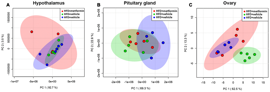 Principal component analysis of the hypothalamus (A), pituitary gland (B), and ovary (C) collected from maternal mice at 12 months of age. The color legends of experimental mice groups are listed as follows; Red color indicates maternal mice fed with a high-fat diet and metformin during pregnancy (HFD+metformin); Green color indicates maternal mice fed with a low-fat diet during pregnancy (LFD); Blue color indicates maternal mice fed with a high-fat diet during pregnancy (HFD).