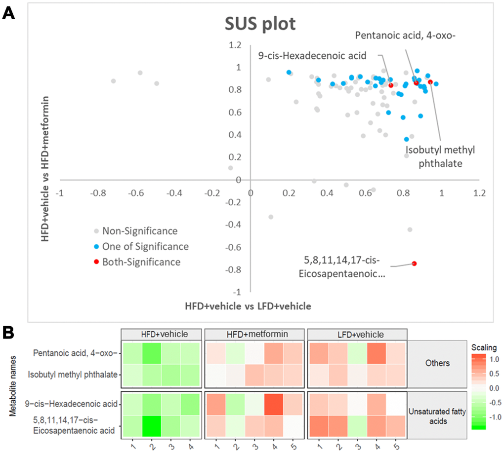 Significant ovary metabolites common to the LFD and metformin treatment groups. (A) SUS-plot. The red circles represent the metabolites common to both OPLS-DA models (LFD vs HFD and HFD+metformin vs HFD). The blue circles represent metabolites in at least one of the two OPLS-DA models. (B) The heatmap illustrates the levels of the final shortlisted metabolites in each group. The relative concentrations of metabolites were log2 transformed and Pareto scaled. Red color indicates a higher level, while green color indicates a lower level.