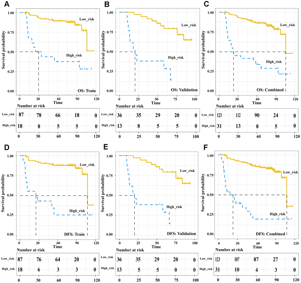 The Post-treatment PET outcomes is a powerful tool to stratify patients’ OS and DFS. Kaplan-Meier survival analysis of post-treatment PET-outcome-defined risk levels in the training, validation cohorts and combined cohort. OS: the training cohort (A), validation cohort (B), and combined cohort (C). DFS: the training cohort (D), validation cohort (E), and combined cohort (F). Abbreviations: OS: overall survival. DFS: disease free survival.
