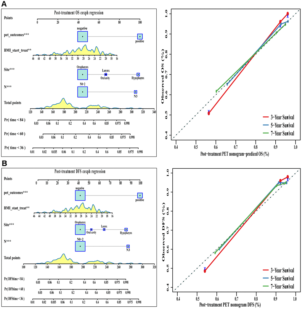 The visualization of OS and DFS survival models based on post-treatment PET signatures combined with clinicopathologic characteristics. The constructed nomograms and their calibration plots to estimate the OS (A) and DFS (B) in 3, 5, and 7 years. Abbreviations: OS: overall survival. DFS: disease free survival.