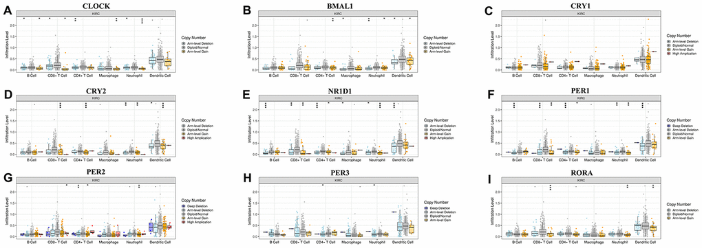 Associations of circadian clock genes alteration with immune cells infiltration.