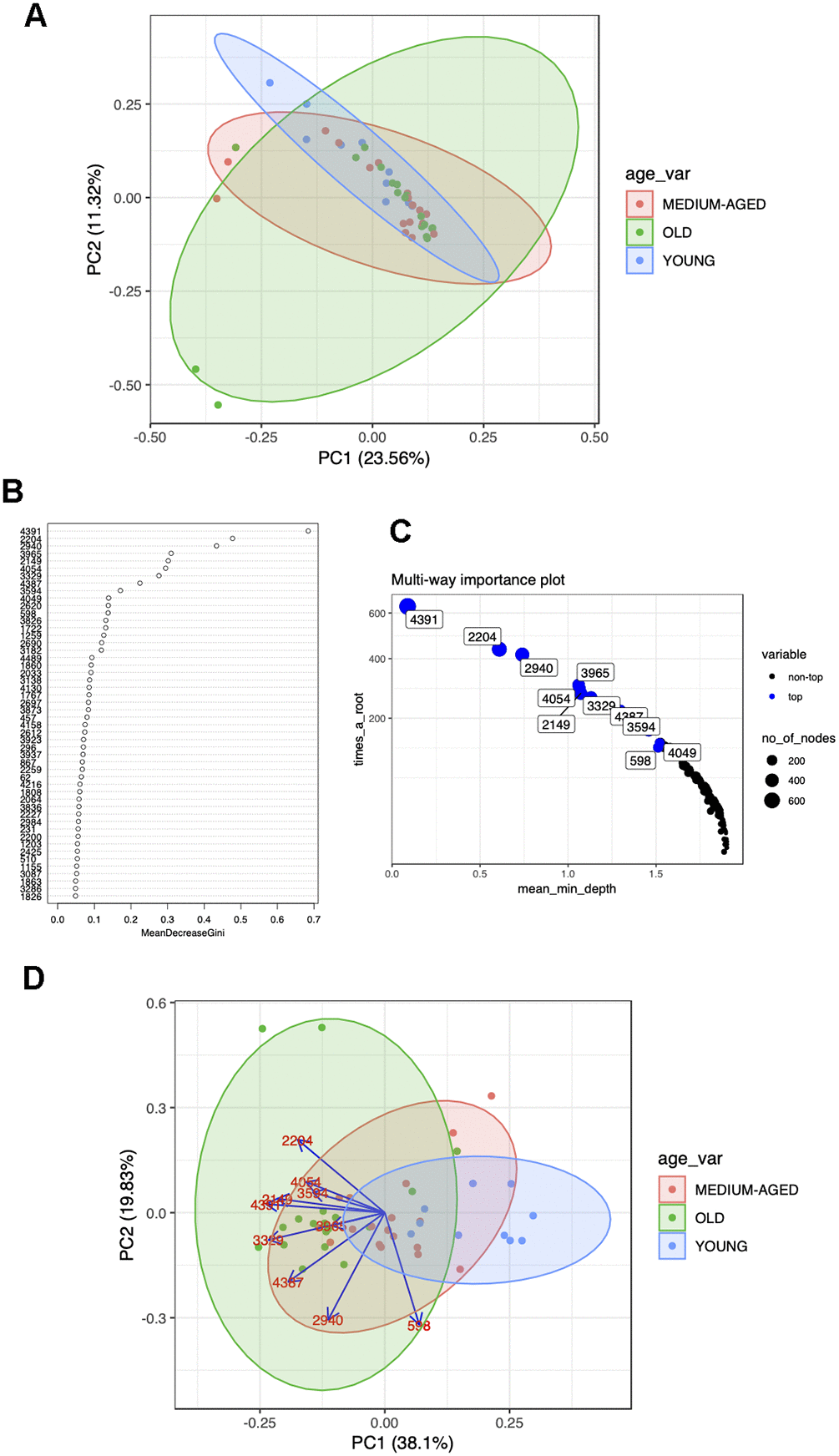 (A) Pre RF PCA plot showing overlap of age groups and no defined clusters of metabolites predictive of age group for polar positive data. (B) Example variable importance and (C) multi-way importance plots generated from RF for polar positive data and the use of the randomForestExplainer R package. The most important predictive metabolites are selected out via Gini index and the top 10 (although arbitrary, this is generally selected as to where the variable importance falls off, ie as shown in the plot of panel B) selected for each polarity and ion mode to go forward for further analyses. (D) Post RF PCA plot for polar positive data, reduction of data to those metabolites most predictive of age shows clustering of age groups with most variability between age groups contained in PC1, with the direction and degree of correlation between each metabolite driving this difference shown through the loadings.