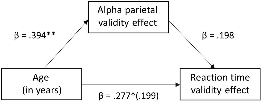 Mediation analysis of age on reaction time validity through the mediator (neural validity). There was a significant full mediation of age on reaction time validity through the mediator (i.e., alpha validity effect in the left parietal cortex), such that the increase in reaction time validity scores (i.e., cost of attention reallocation) with increased age was driven by stronger alpha desynchronizations to valid relative to invalidly-cued trials in the left parietal cortex. Each arrow is labeled with the standardized Beta coefficient values for the respective regression model. * p p 