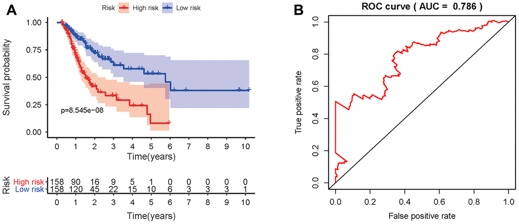 Prognostic value of the prognostic model. (A) Kaplan-Meier plot depicting the survival probabilities predicted by the prognostic model over time for the high- (red) and low-risk (blue) groups. (B) Survival-dependent ROC analysis of the prognostic value of the prognostic model.