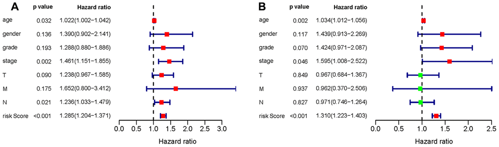 Univariate (A) and multivariate (B) Cox regression analyses of the gastric cancer cohort.