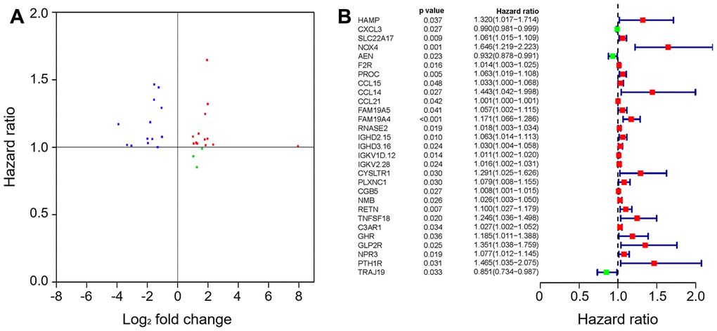 The hub IRGs in the gastric cancer cohort. (A) Identification of hub genes. (B) Prognostic value of hub genes.