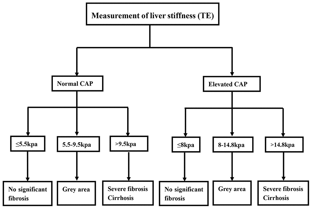 Diagnostic flowchart for diagnosis and exclusion liver fibrosis in chronic hepatitis B virus infection based on LSM and CAP values.