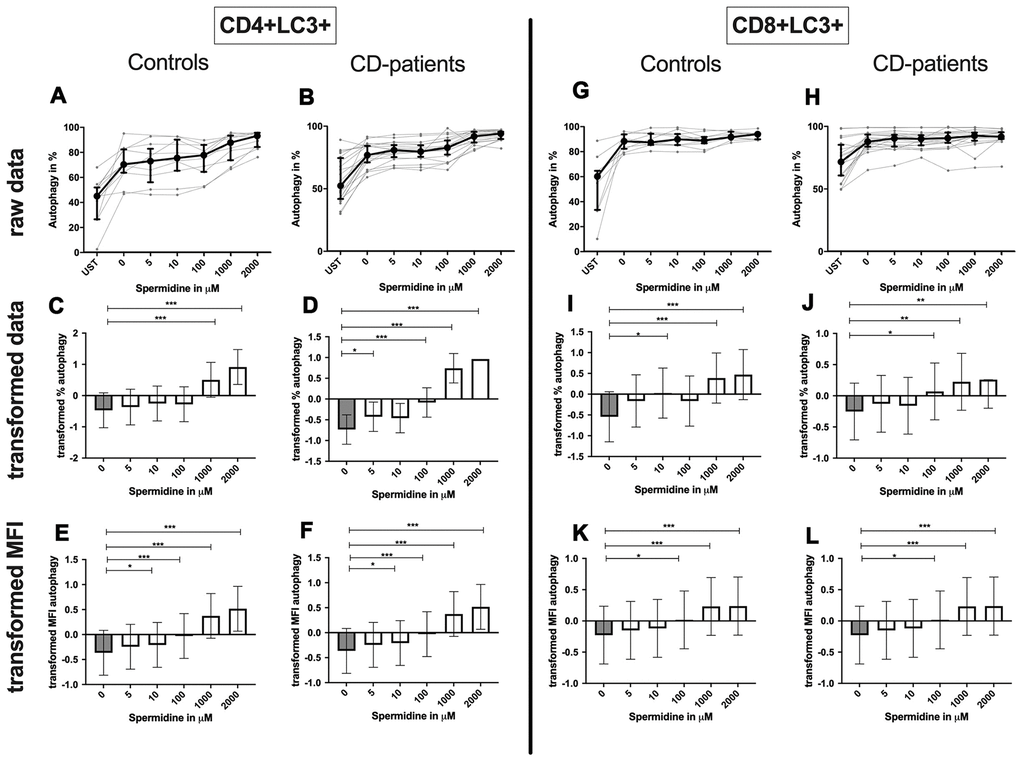 Autophagy of CD4+ T helper-cells and cytotoxic CD8+ T-cells treated with Spermidine for cognitive decline patients and controls. T-cells were isolated from controls (A, C, E, G, I, K) and patients with cognitive decline (B, D, F, H, J, L). CD3/CD28 stimulated T-cells were incubated for 24 hours with 5, 10, 100, 1000, 2000 μM Spermidine. Percentage (%) (A–D, G–J) and the expression (measured by median fluorescence intensity; MFI) (E, F, K, L) of autophagy was measured by LC3. Autophagy was analysed on CD4+ T-cells (A–F) and CD8+ T-cells (G–L). The data sets were not Gaussian-distributed and therefore transformed by R studio orderNorm using the bestNormalize package and analyzed. Raw data (individual data, median + interquantile ranges) and transformed data (mean with lower and upper confidence limits) are depicted for %. ncontrol = 12; nCD-patient = 20; * p