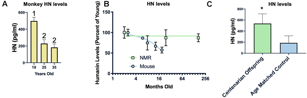 Humanin levels are correlated with longevity. HN levels decline with age in monkeys between 19 and 25 years of age but not between 25 and 35 years of age (n=40, 25, and 21 for 19, 25, and 35 years of age respectively) (A). In two rodents, the short-lived mouse (n=29) has a decline in humanin levels over the first 16 months of life, while the long-lived naked mole rat (NMR) (n=10) maintains levels over 2 decades (B). Humanin levels in offspring of centenarians (n=18), who have a higher chance of becoming centenarians themselves, are significantly higher than age-matched control levels (n=19)(C). * indicates p