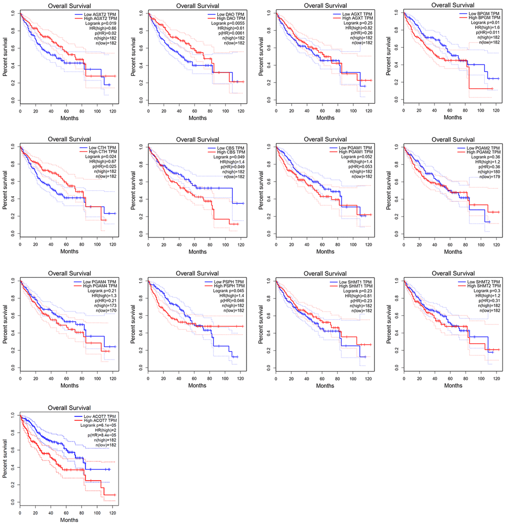 Survival analysis of candidate genes expressions in HCC patients.