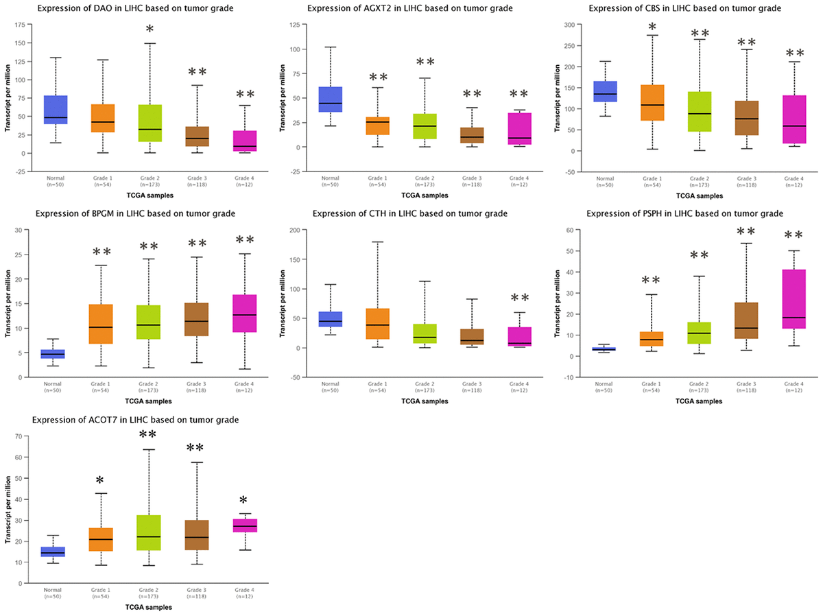 Analysis Of Plasma Metabolic Profile, Characteristics And Enzymes In ...