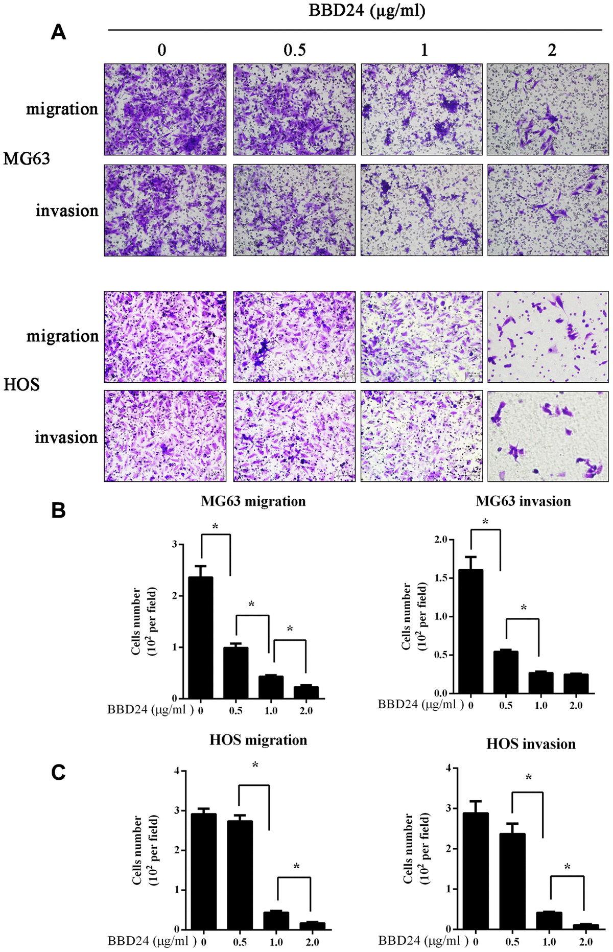 2 Methylbenzoyl Berbamine A Multi Targeted Inhibitor Suppresses The Growth Of Human 