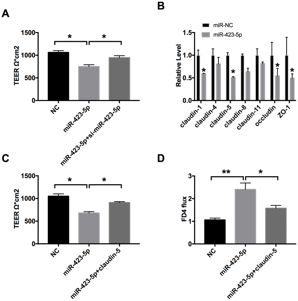 MiR-423-5p regulates the intestinal epithelial barrier function by targeting claudin-5. (A) The effect of miR-423-5p on intestinal epithelial barrier function. n=3. (B) RT-PCR was employed to detect the mRNA level of claudin-1, claudin-4, claudin-5, claudin-8, claudin-11, occludin, and ZO-1. n=6. (C) The effect of miR-423-5p and claudin-5 on TEER in Caco-2 cells. n=4. (D) The FD4 level was detected after claudin-5/vector transfection with miR-423-5p mimic/miR-NC. n=5. *P P 